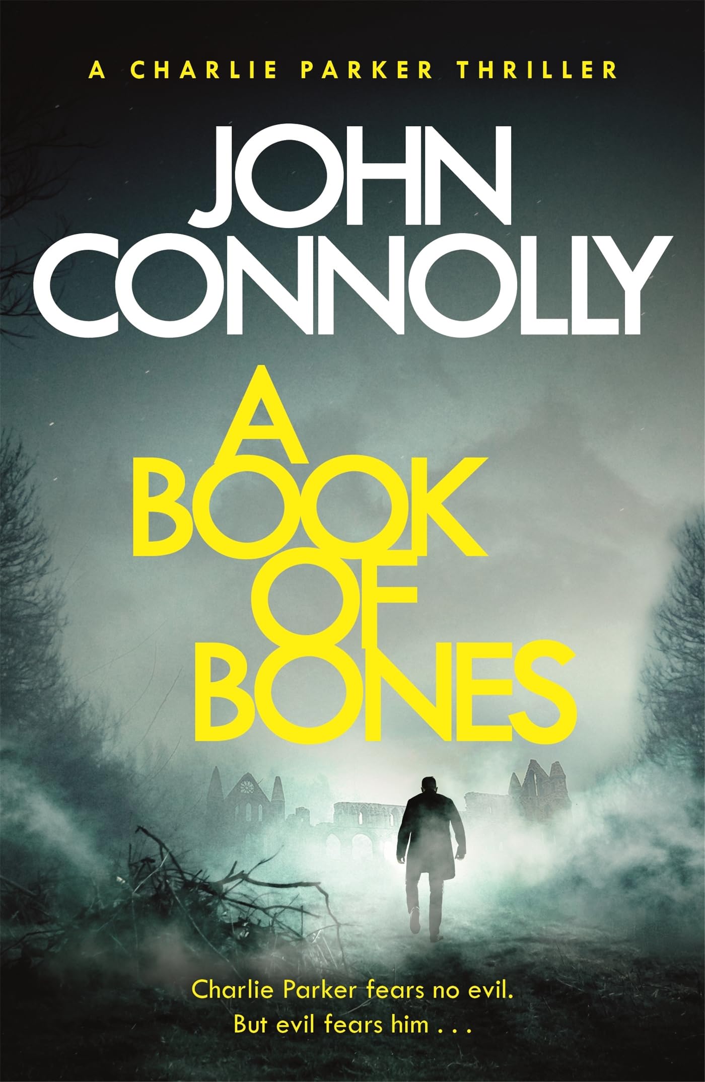 A Book of Bones: Private Investigator Charlie Parker hunts evil in the seventeenth book in the globally bestselling series (Charlie Parker Thriller) Contemporary literature Books