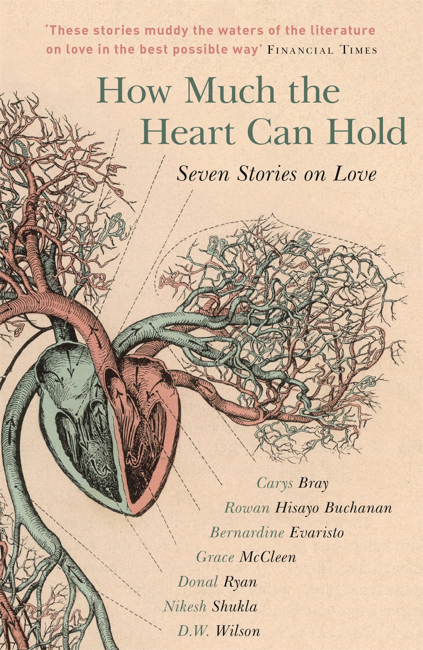 How Much the Heart Can Hold: Seven Stories on Love Contemporary literature