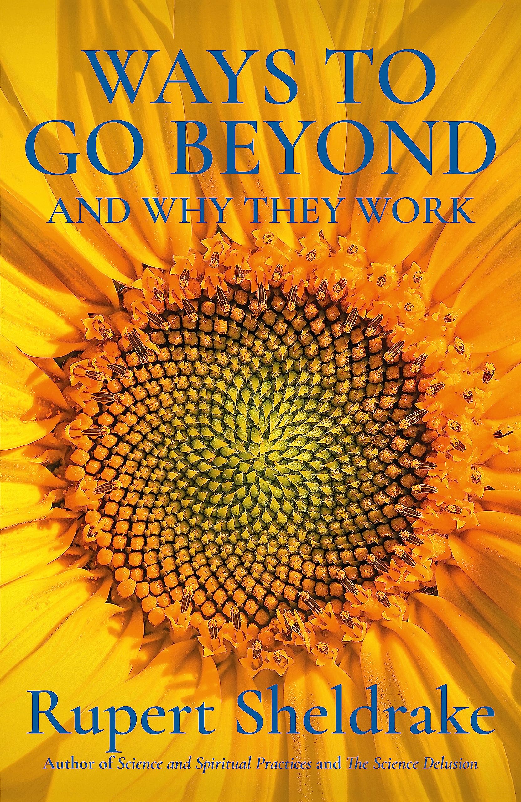 Ways to Go Beyond and Why They Work: Seven Spiritual Practices in a Scientific Age book
