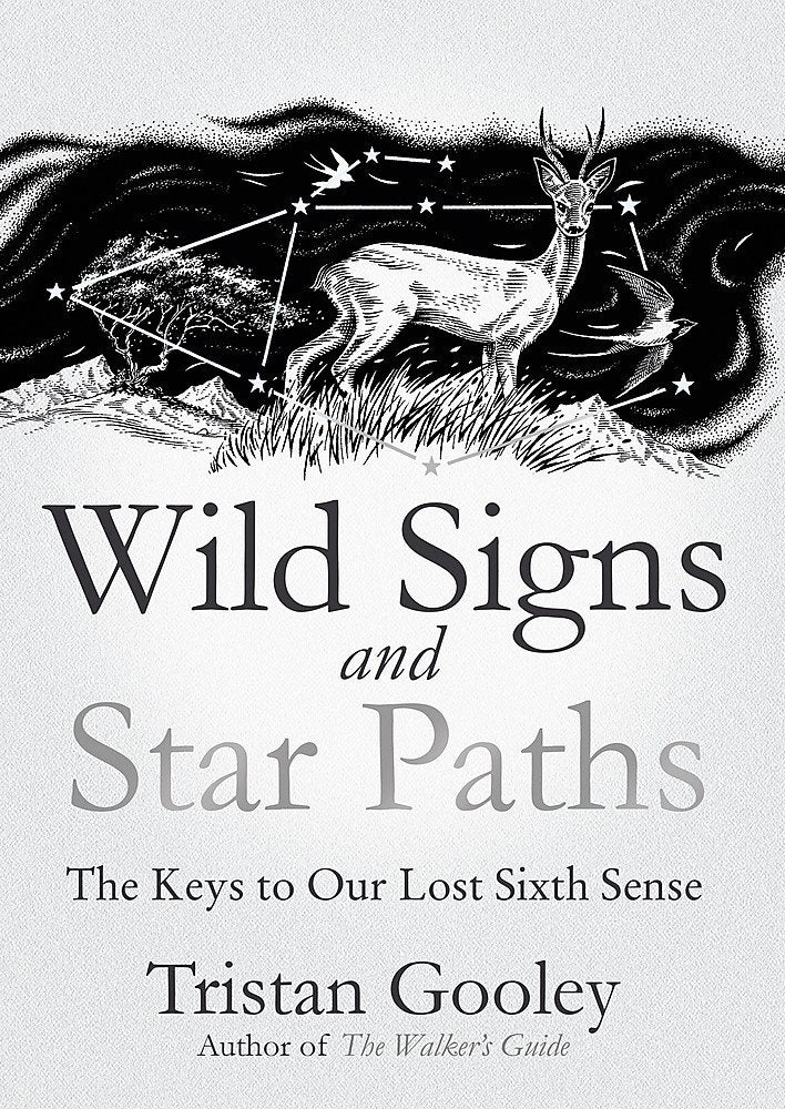 Wild Signs and Star Paths: 'A beautifully written almanac of tricks and tips that we've lost along the way' Observer Mathematics