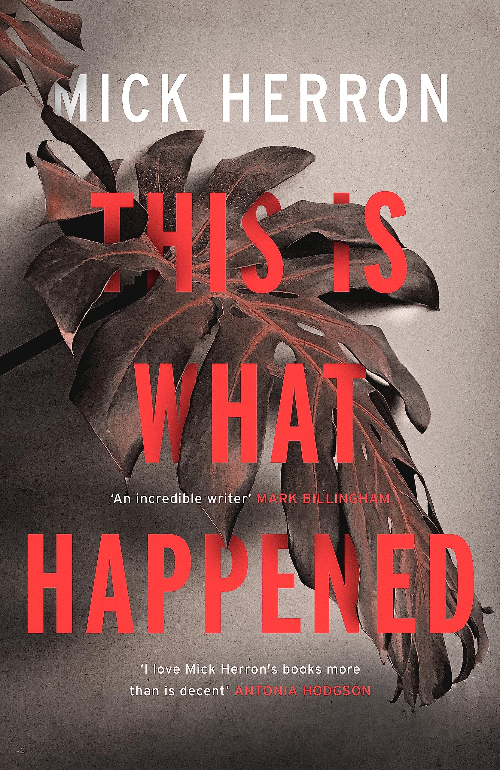 This is What Happened Contemporary literature Books