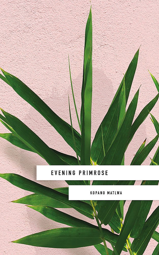 Evening Primrose: a heart-wrenching novel for our times Contemporary literature
