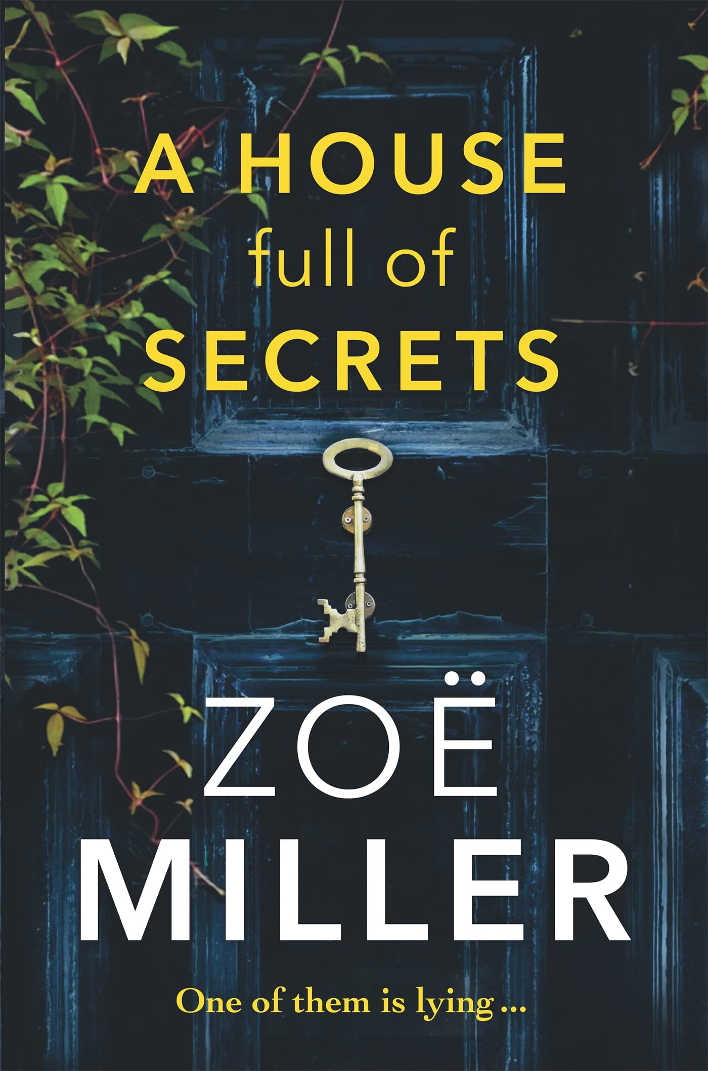 A House Full of Secrets: All she sees is the perfect man, but what is he hiding? Contemporary literature
