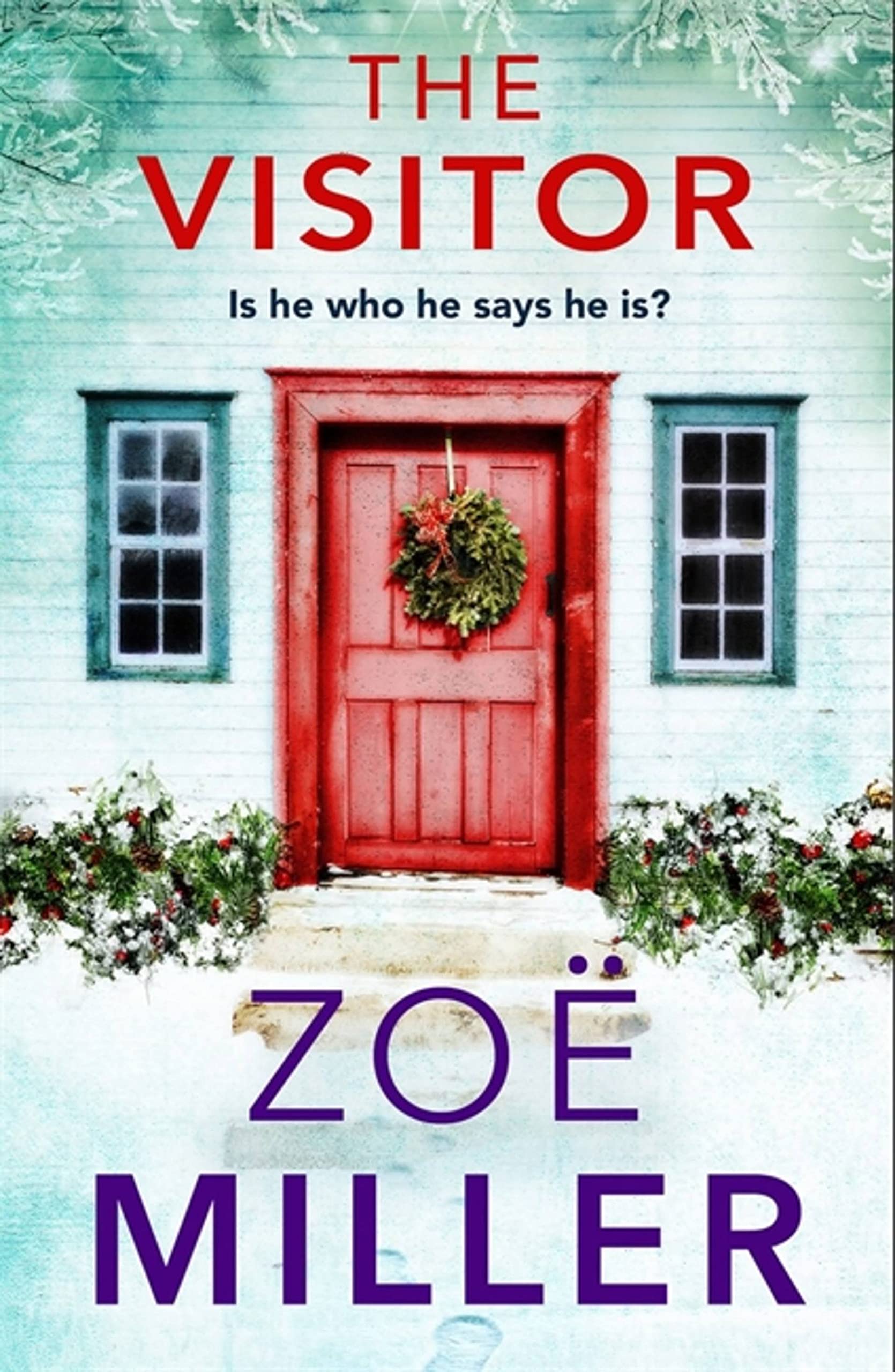 The Visitor: Is he who he says he is? book