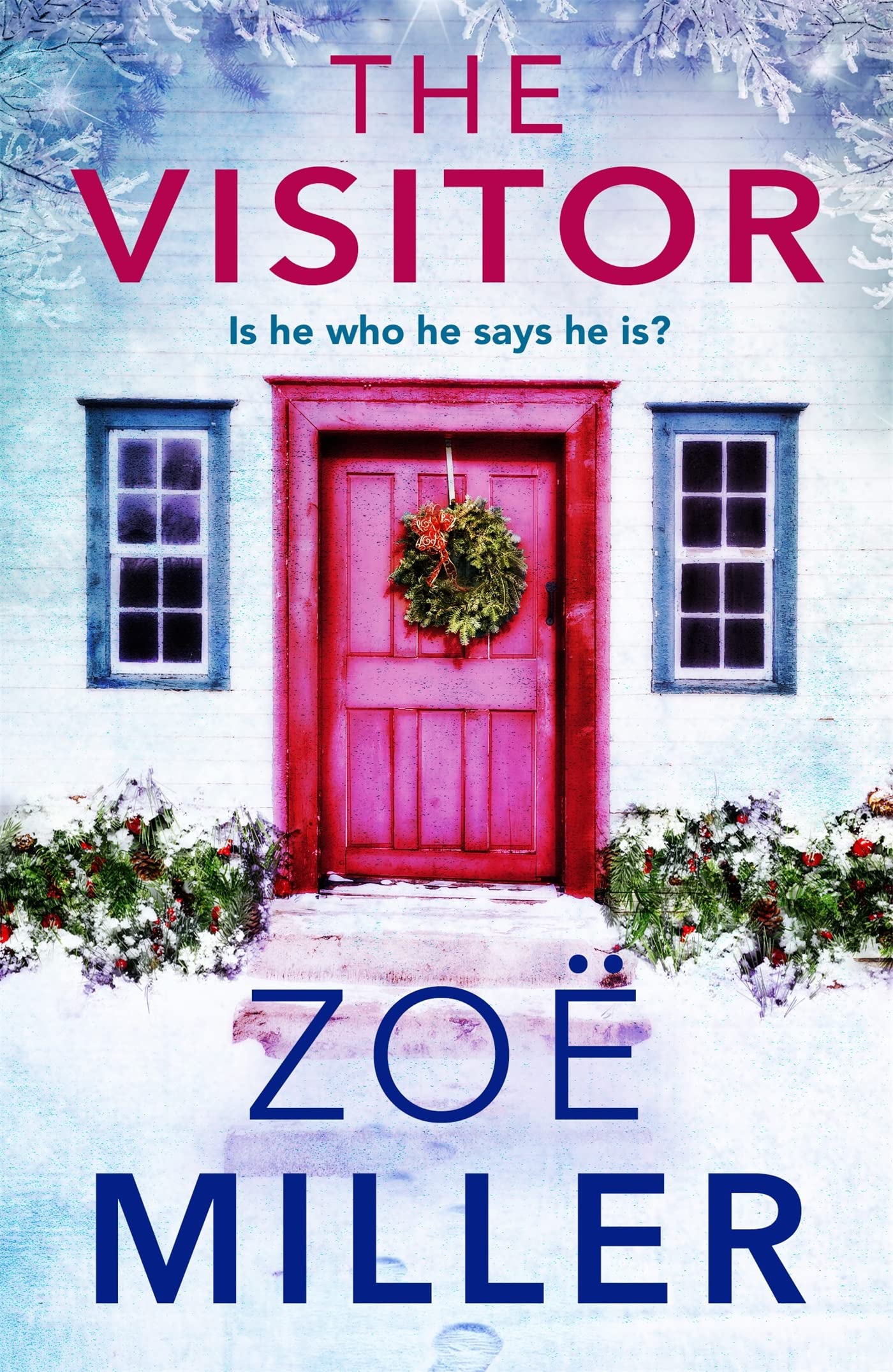 The Visitor: a twisty, suspenseful page-turner book