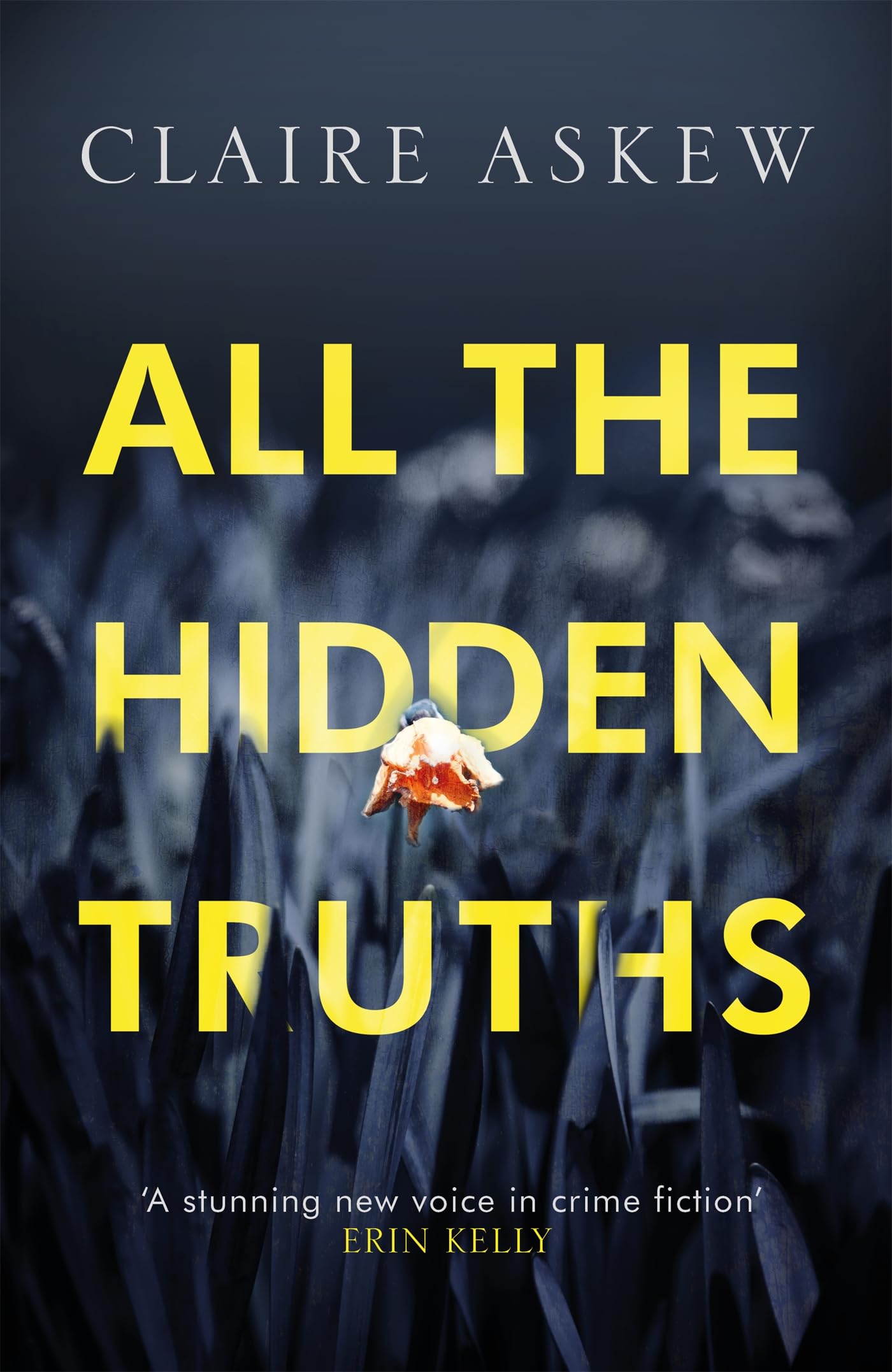Product Image: All the Hidden Truths