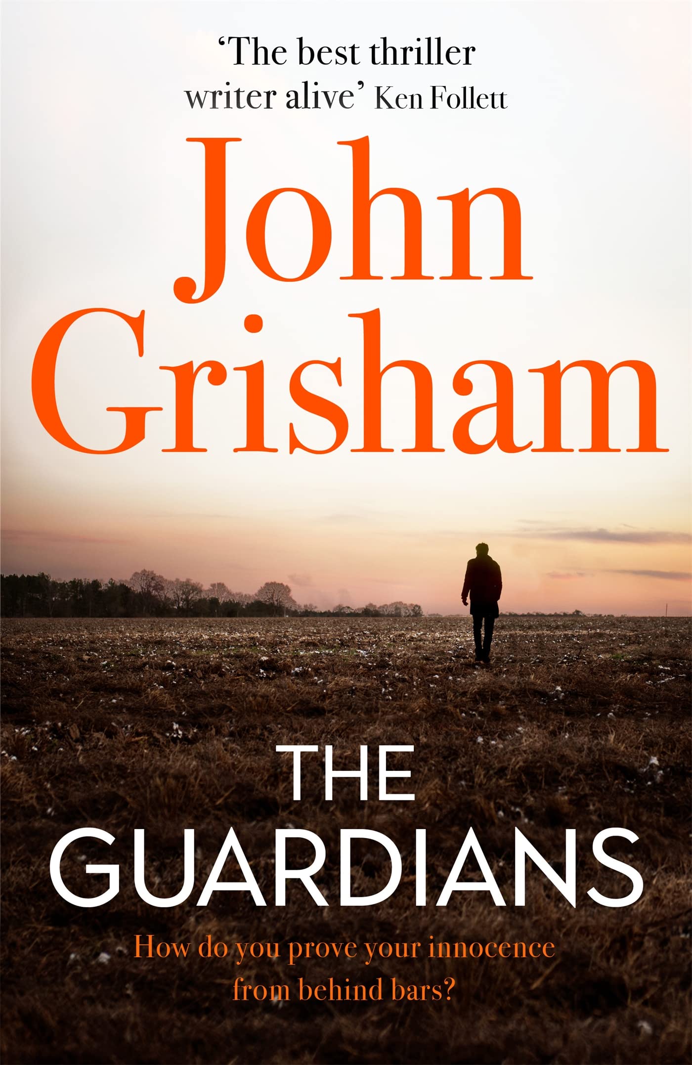 The Guardians: The Sunday Times Bestseller book
