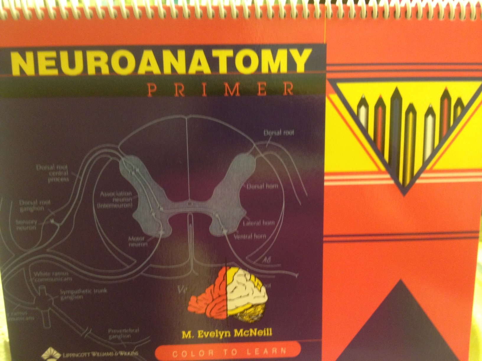Neuroanatomy Primer: Color to Learn/With 12 Colored Pencils Medicine