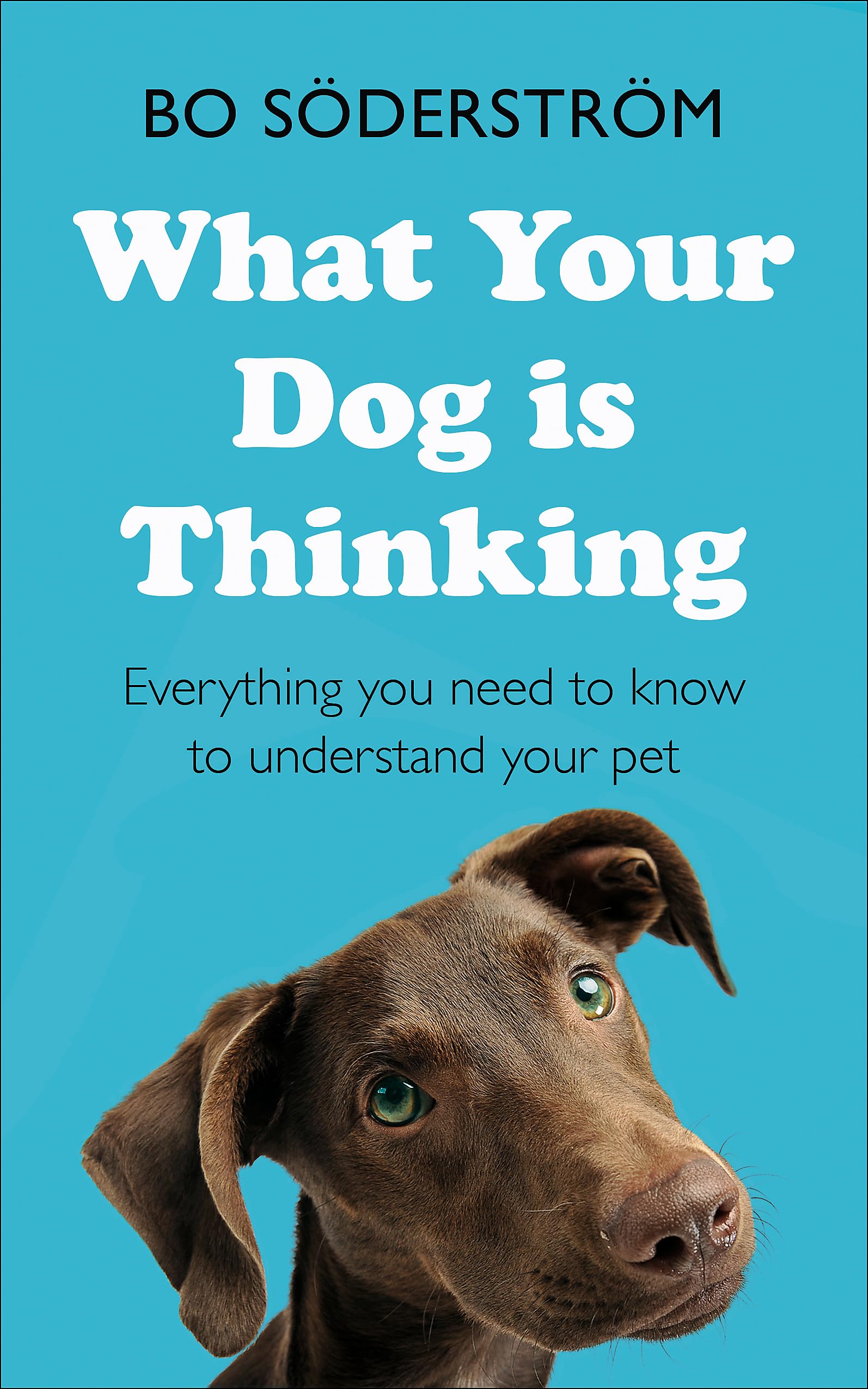 What Your Dog Is Thinking Mathematics Books