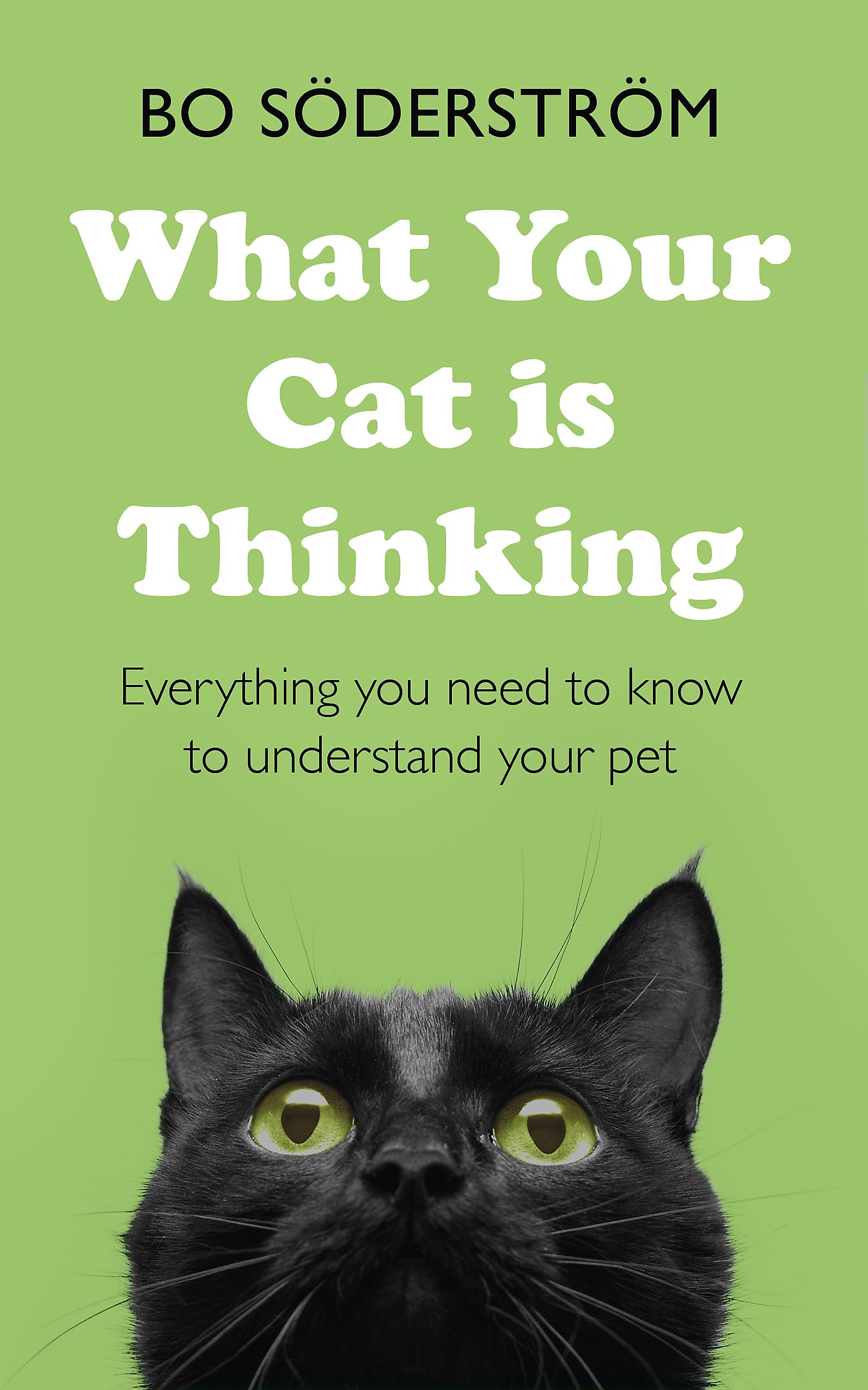 What Your Cat Is Thinking: Everything You Need to Know to Understand Your Pet Mathematics