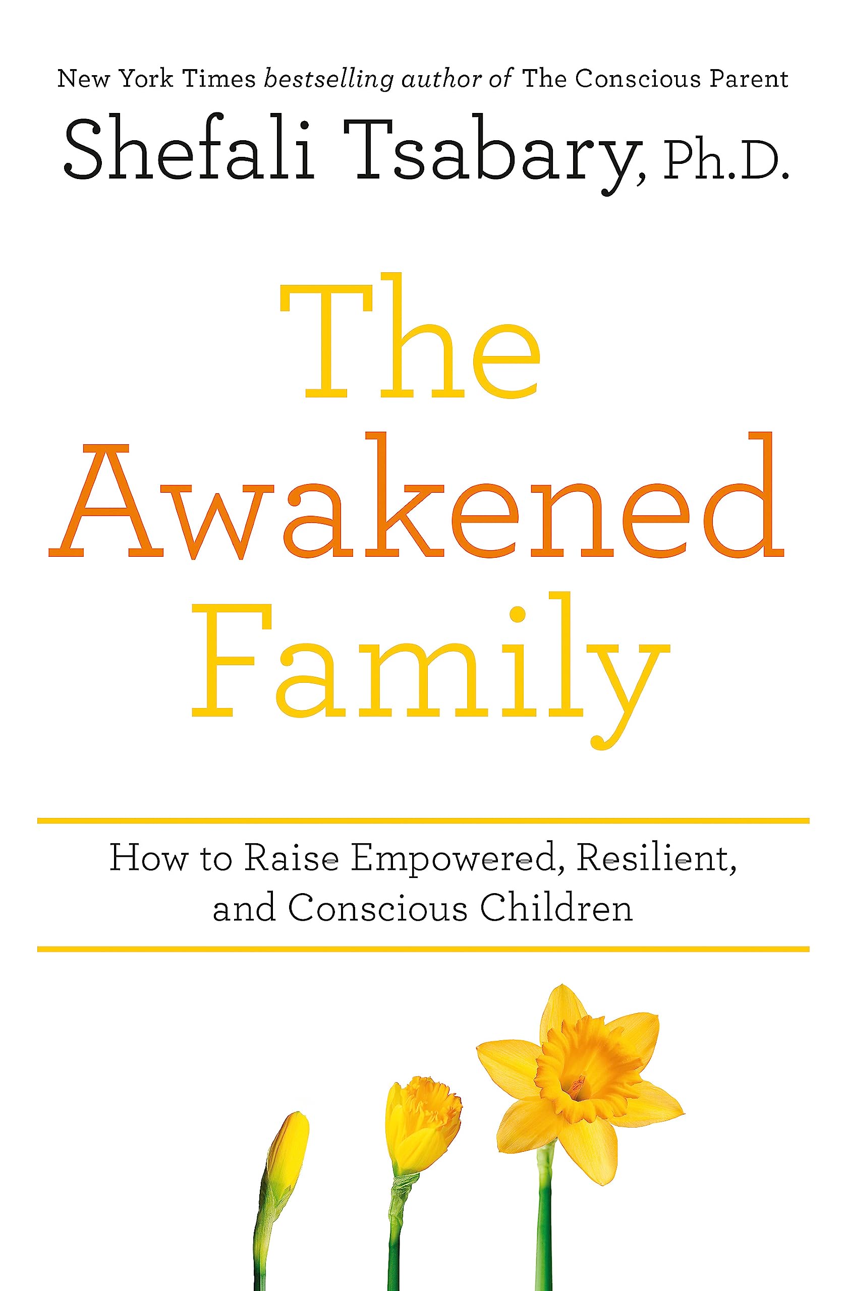 The Awakened Family Art & Literature