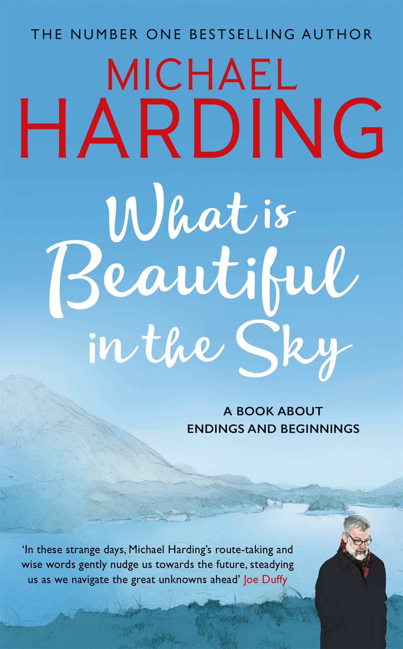 What is Beautiful in the Sky: A book about endings and beginnings Art & Literature