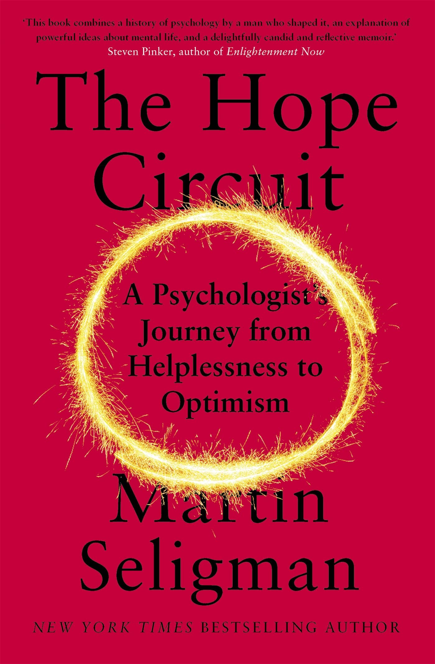 The Hope Circuit: A Psychologist's Journey from Helplessness to Optimism book