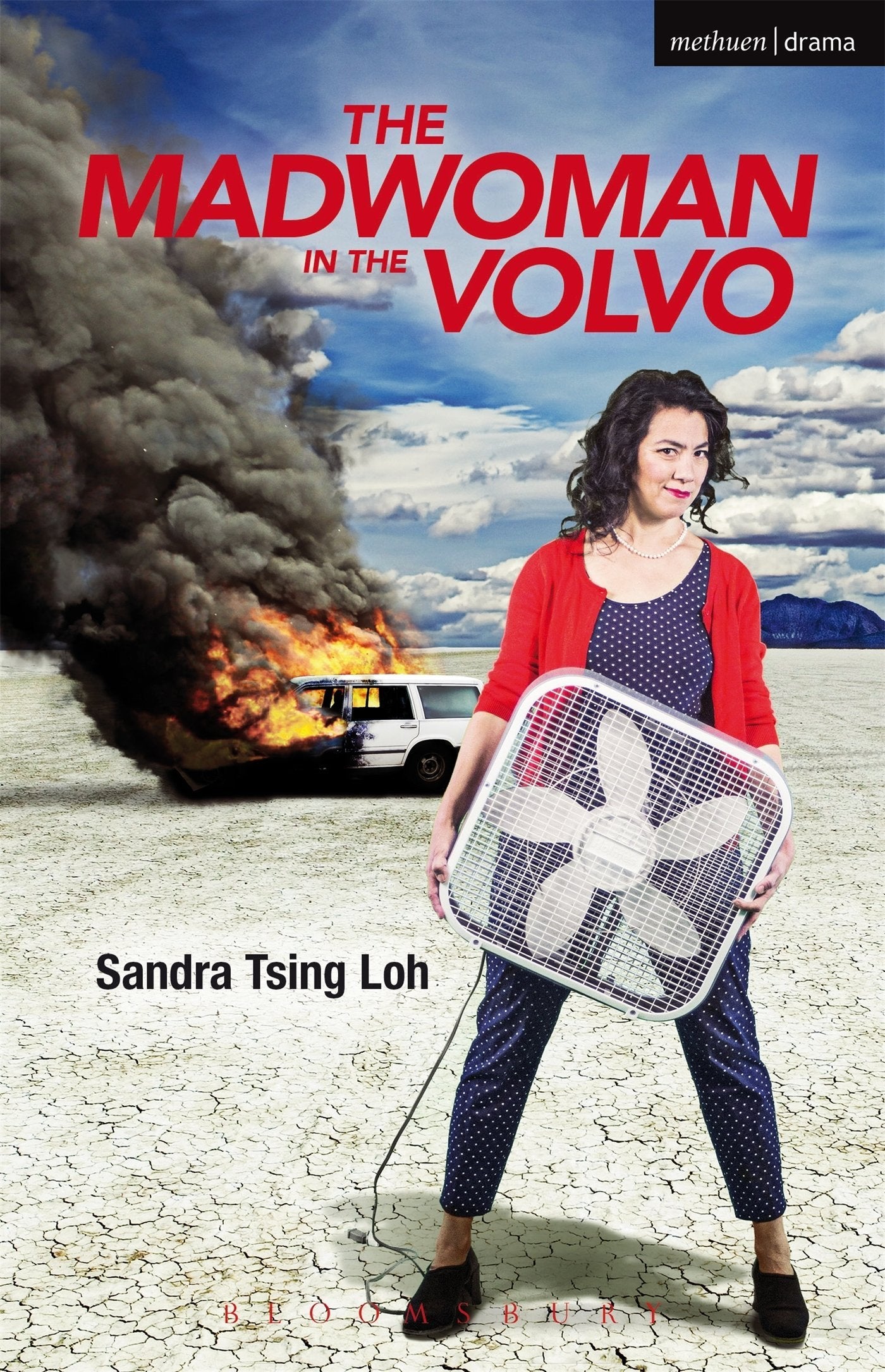 The Madwoman in the Volvo Books