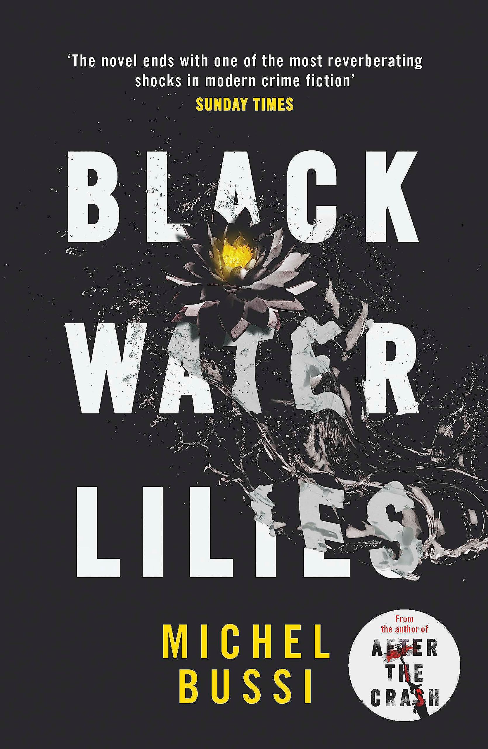 Black Water Lilies Historical Fiction