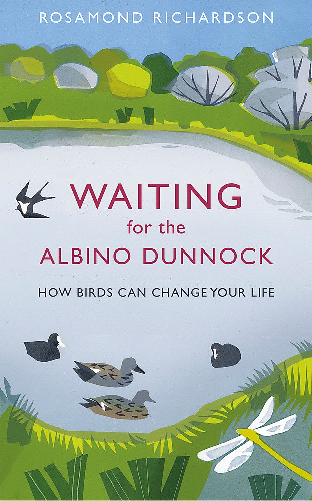 Waiting for the Albino Dunnock: How birds can change your life Art & Literature