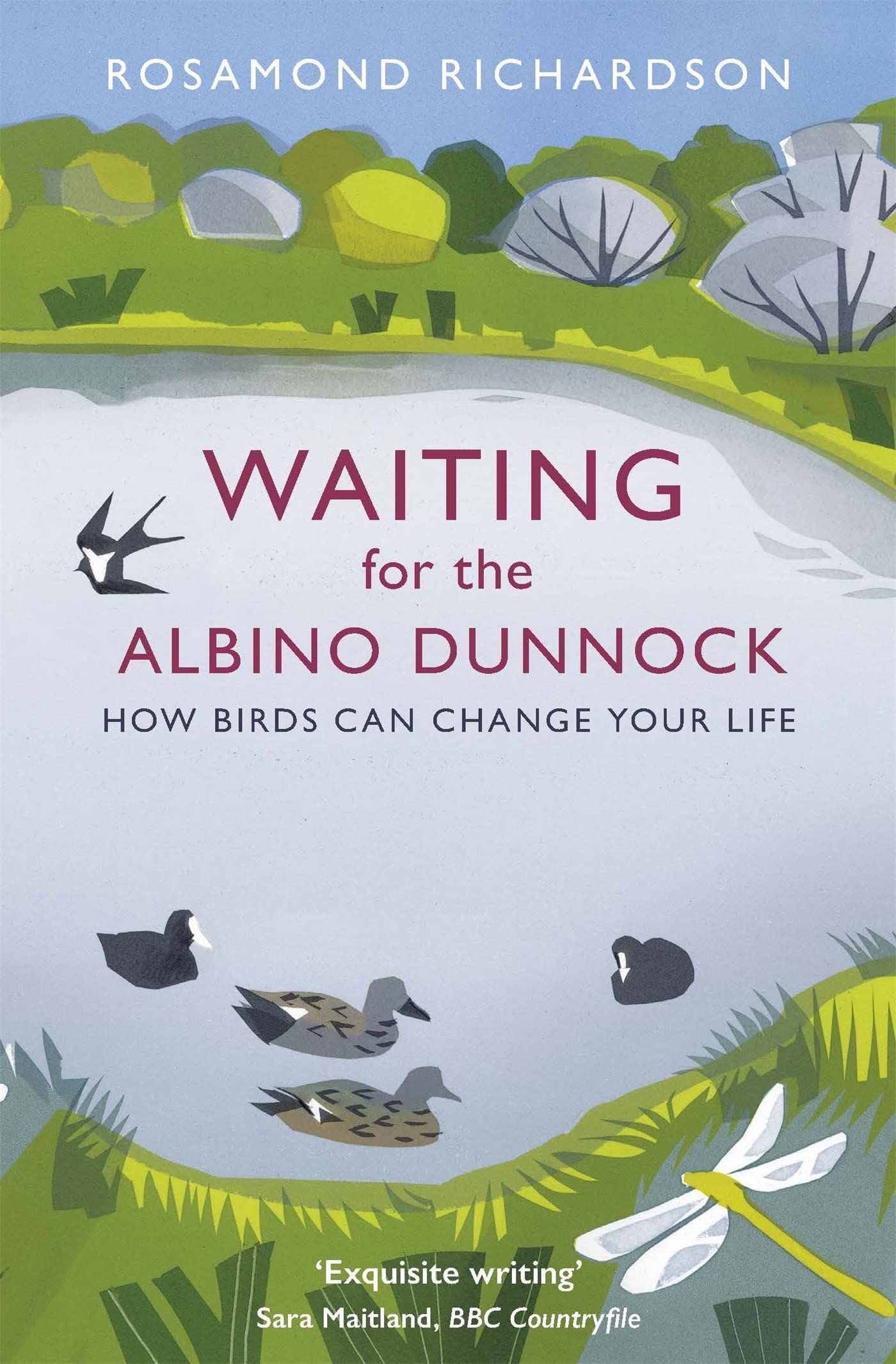 Waiting for the Albino Dunnock: How birds can change your life Art & Literature