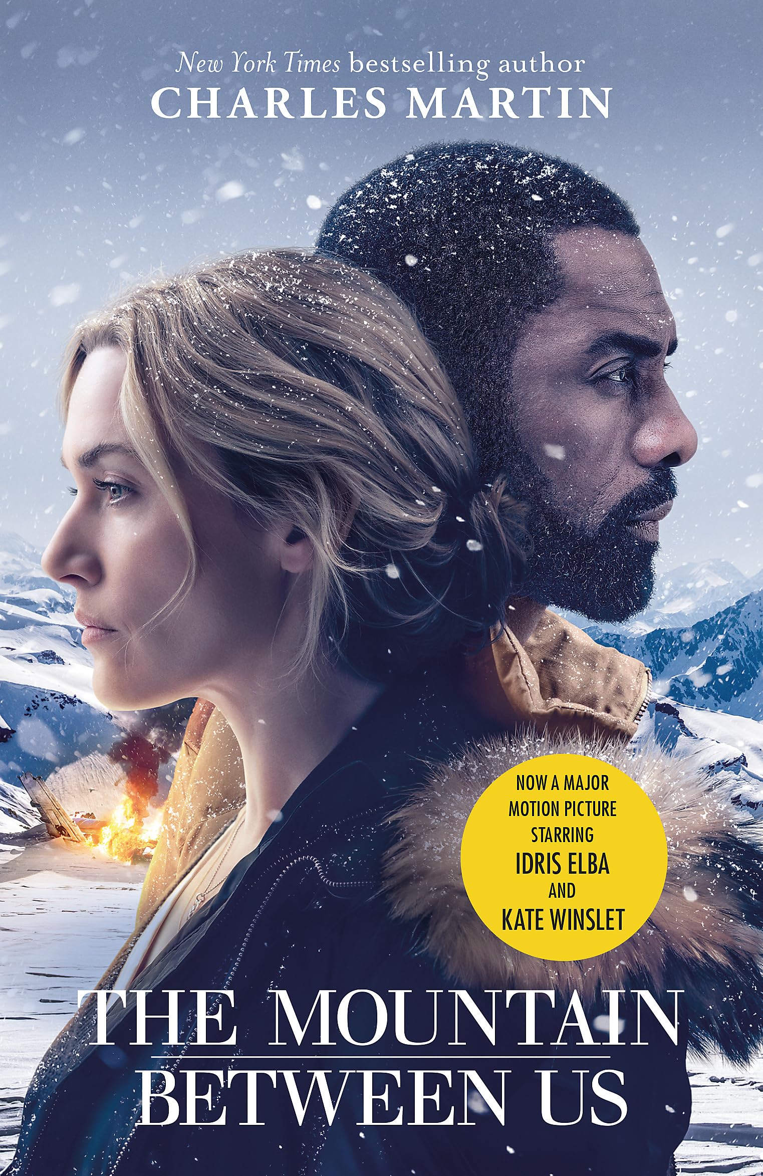 Product Image: The Mountain Between Us