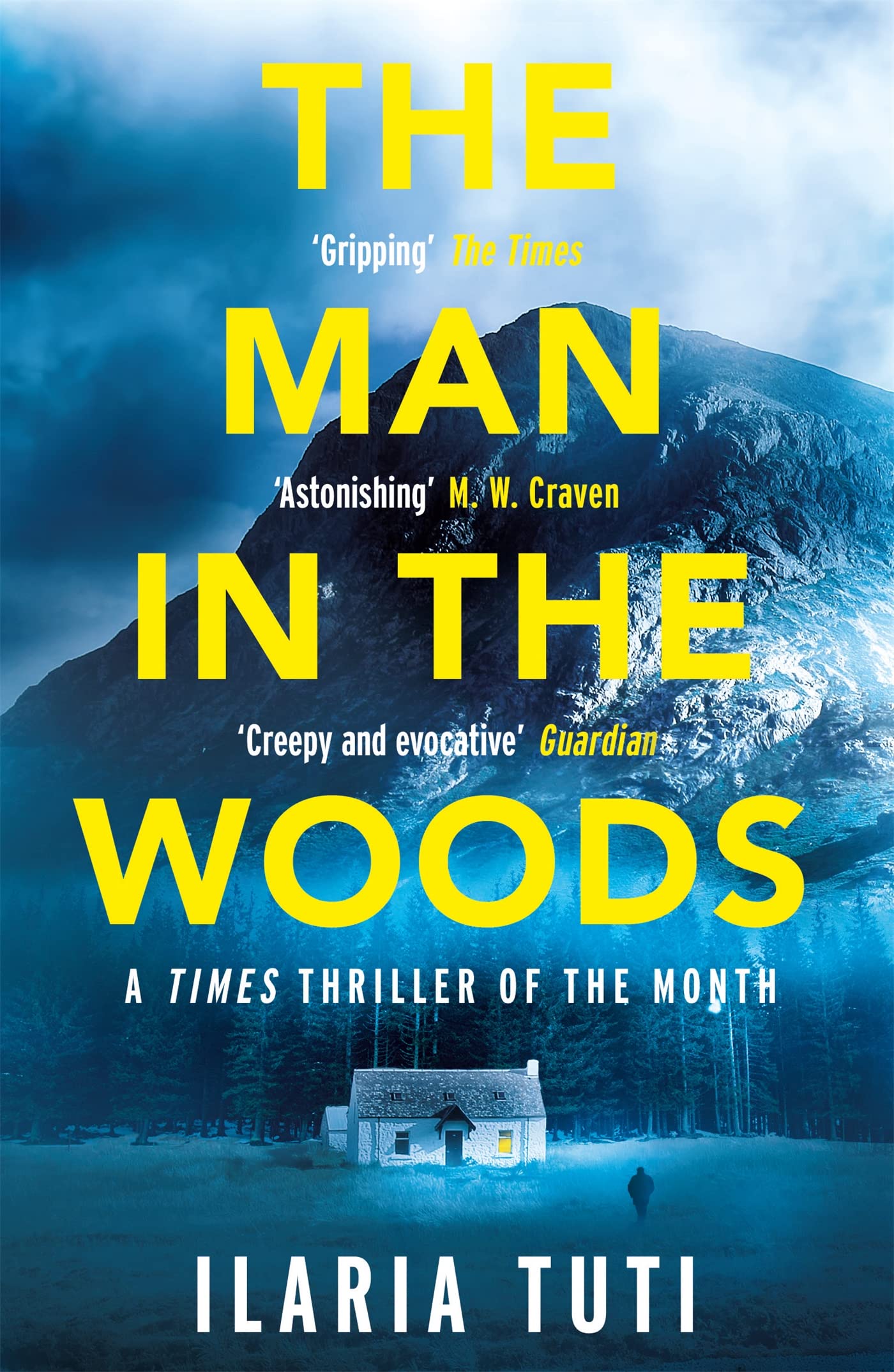The Man in the Woods: A secluded village in the Alps, a brutal killer, a dark secret hiding in the woods (A Teresa Battaglia thriller) Contemporary literature Books