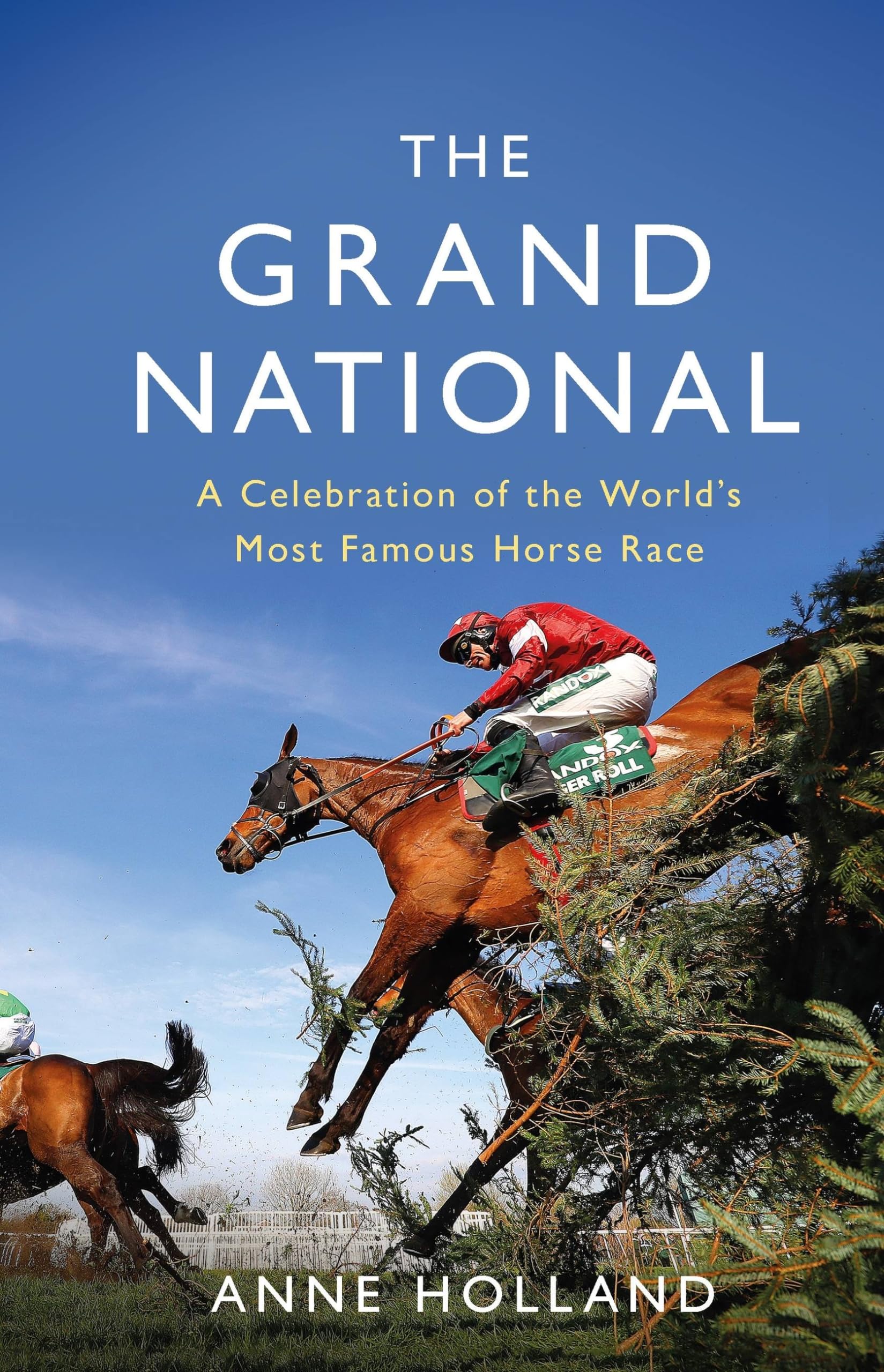 The Grand National: A Celebration of the World’s Most Famous Horse Race book