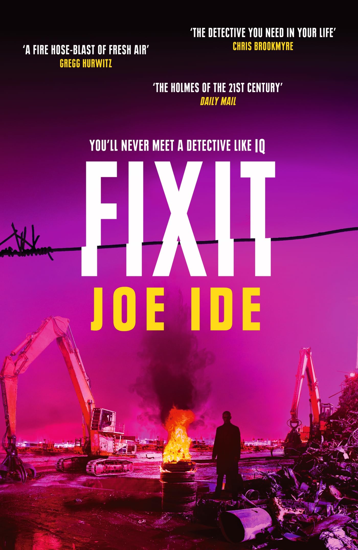 Fixit Contemporary literature Books