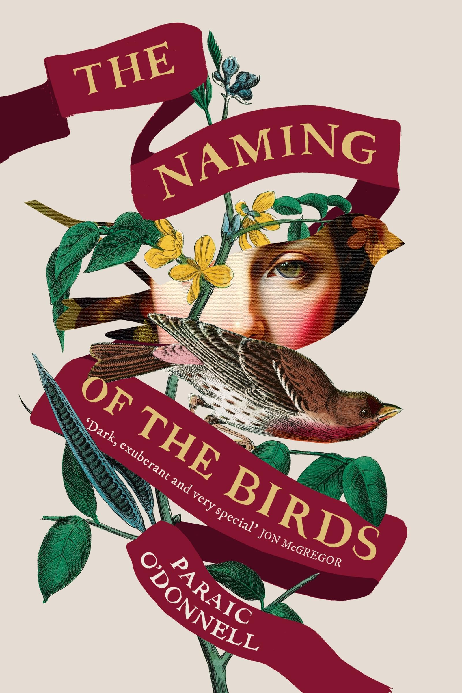 The Naming of the Birds Contemporary literature