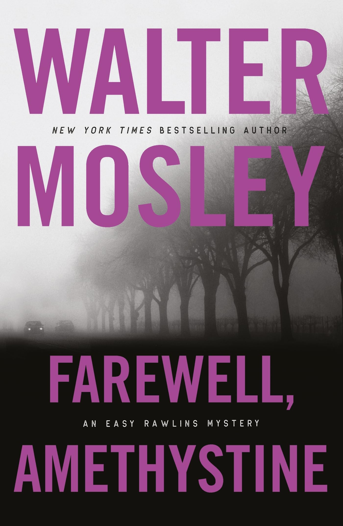 Farewell, Amethystine (Easy Rawlins mysteries) Contemporary literature