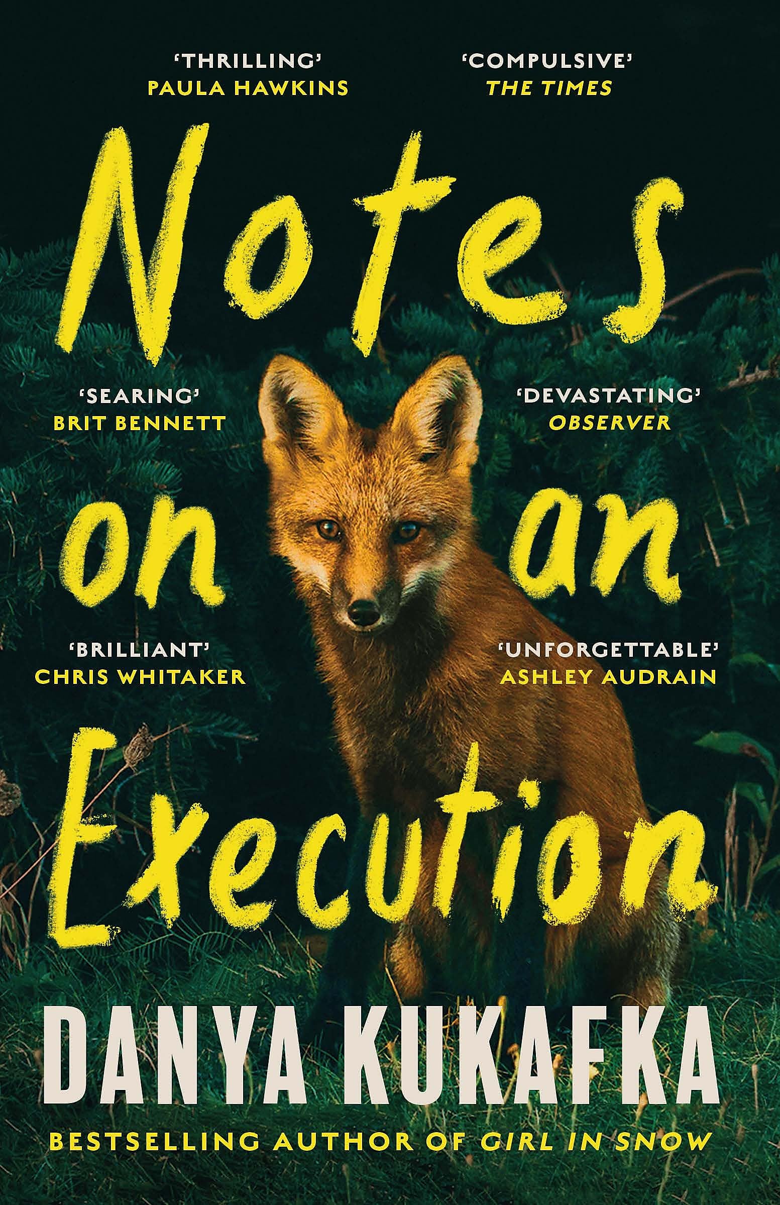 Notes on an Execution Contemporary literature Books