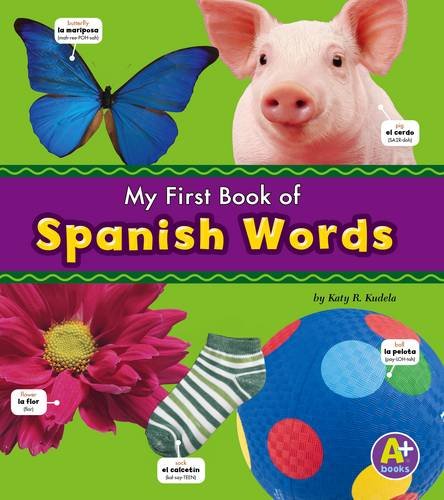 Spanish Words (Bilingual Picture Dictionaries) Foreign Languages ​​& Dictionaries