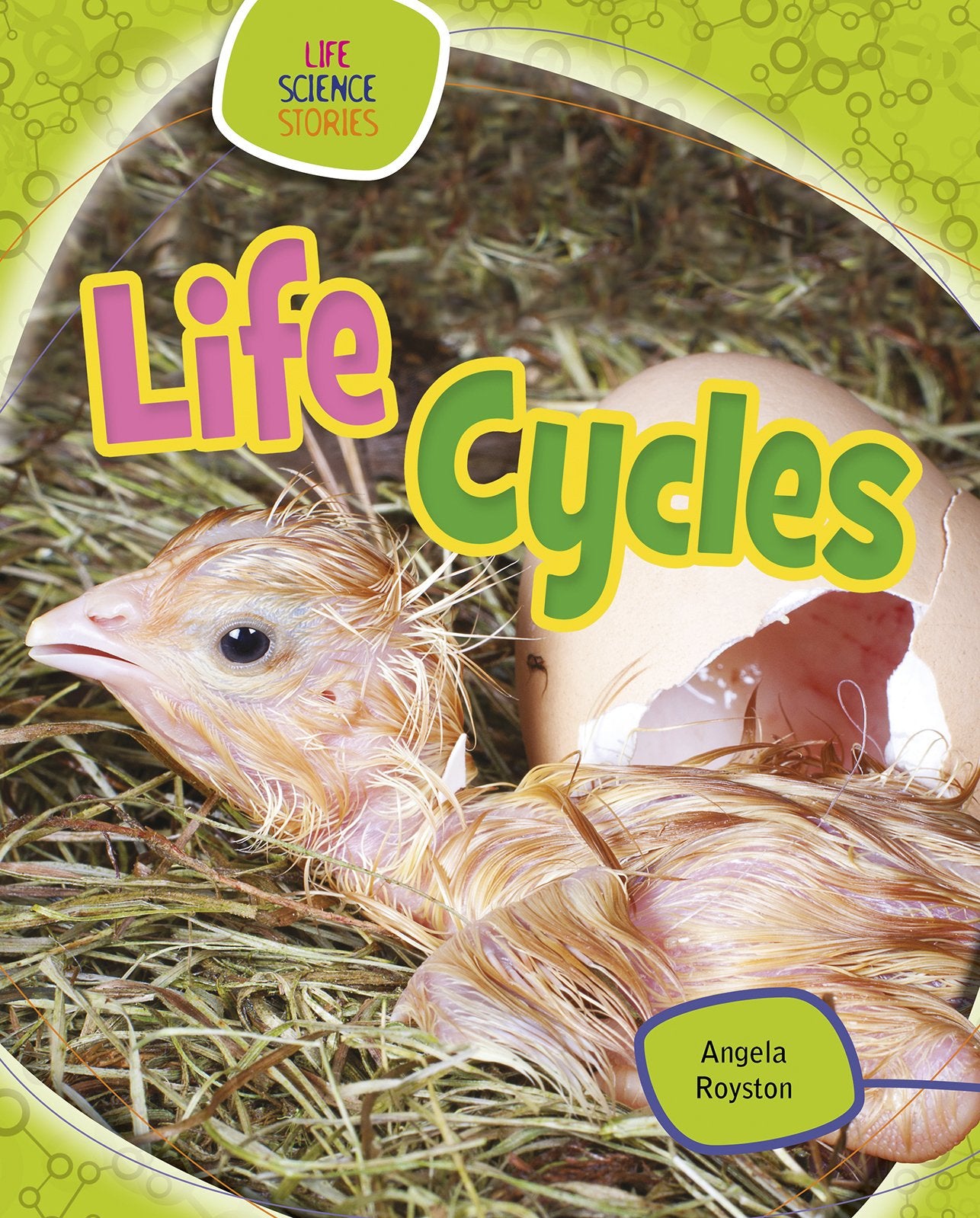 Life Cycles (Life Science Stories) Non-fiction