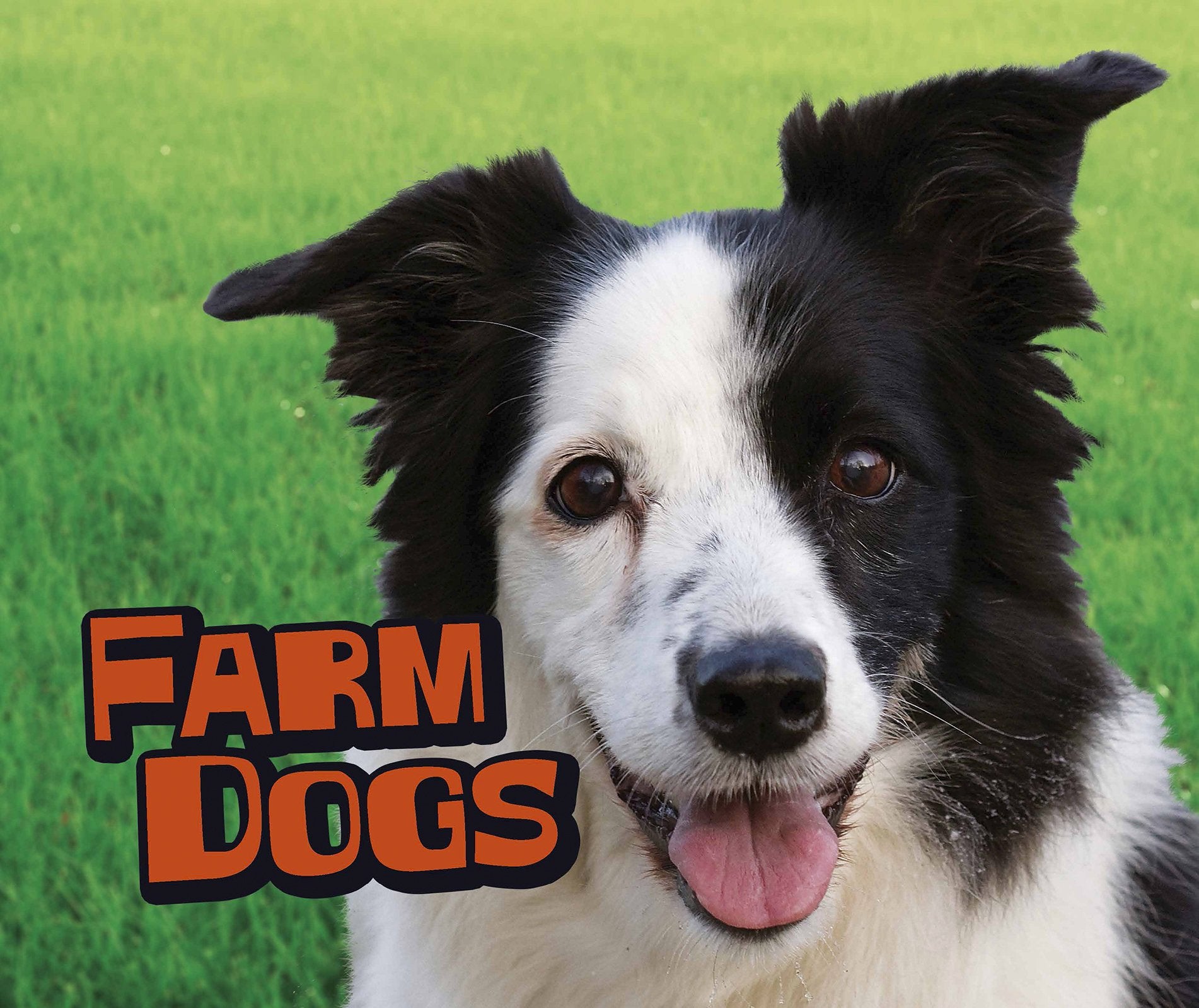 Farm Dogs (Farm Animals) Non-fiction