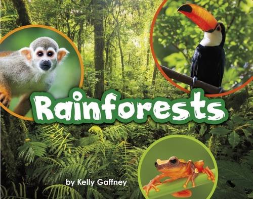 Rainforests (Engage Literacy: Engage Literacy Purple - Extension A) Novels & Short Stories