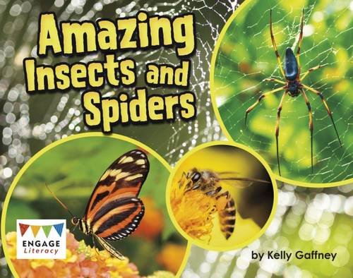 Amazing Insects and Spiders (Engage Literacy Turquoise - Extension A) Novels & Short Stories
