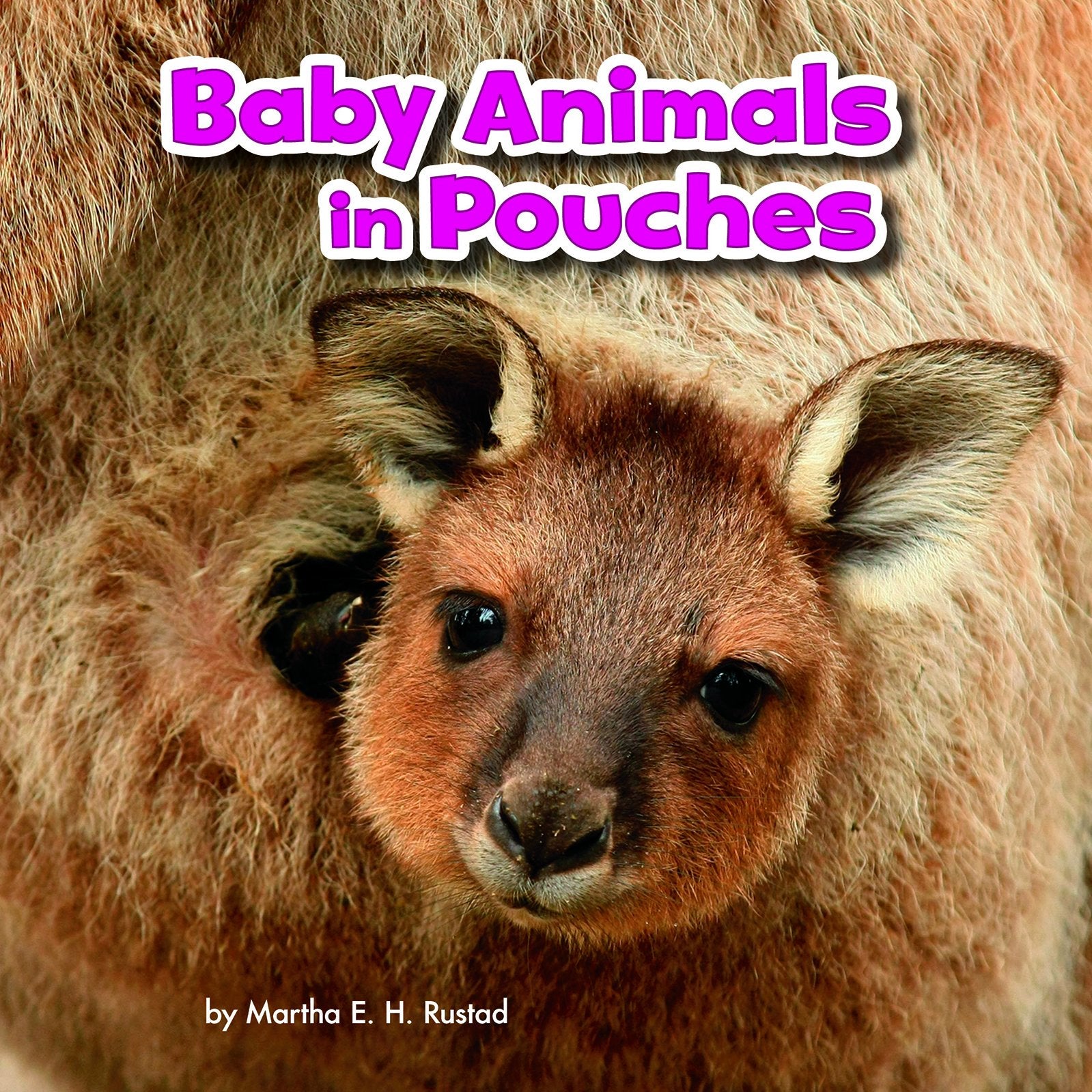 Baby Animals and Their Homes Pack A of 4 Non-fiction