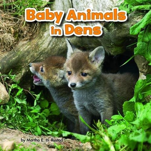 Baby Animals and Their Homes Pack A of 4 Non-fiction
