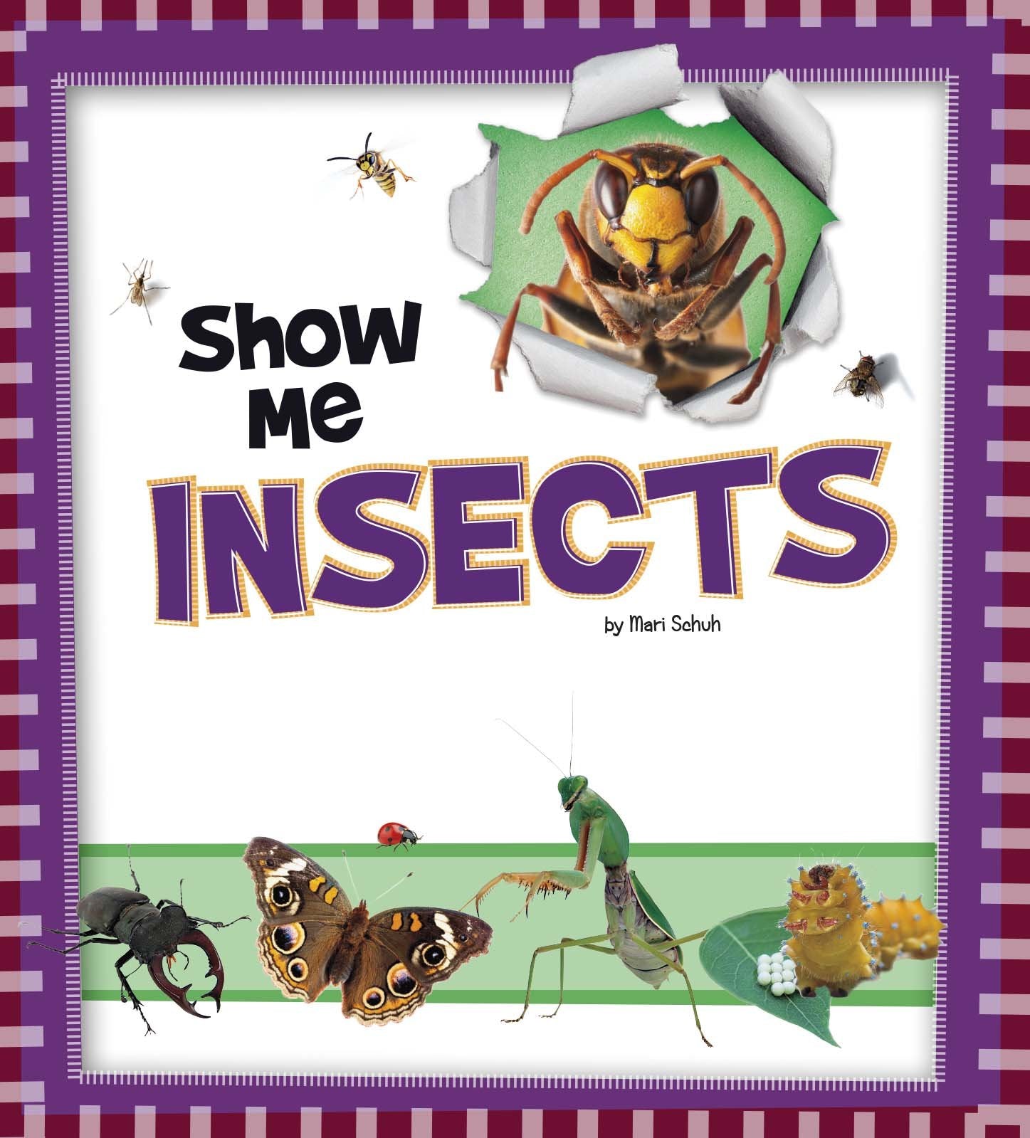 Show Me! Pack A of 4 Non-fiction