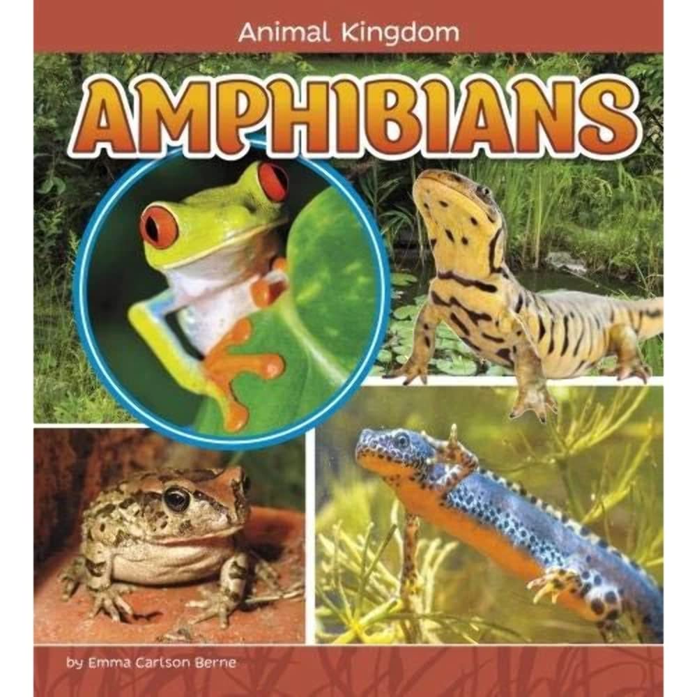 Amphibians (Animal Kingdom) Non-fiction