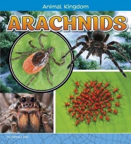 Animal Kingdom Pack A of 4 Non-fiction