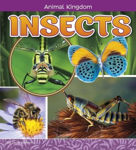 Animal Kingdom Pack B of 4 Non-fiction