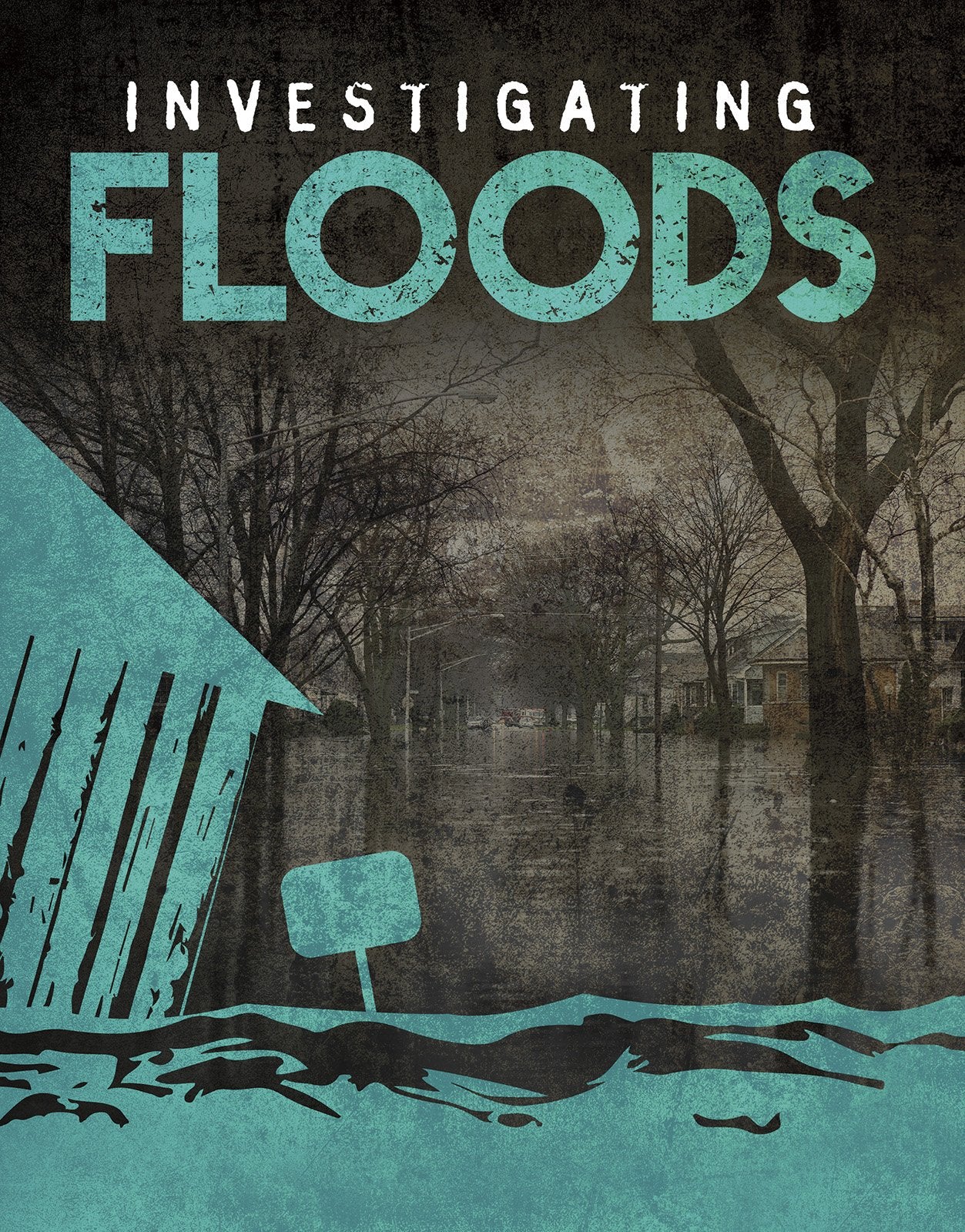 Investigating Floods (Investigating Natural Disasters) Non-fiction