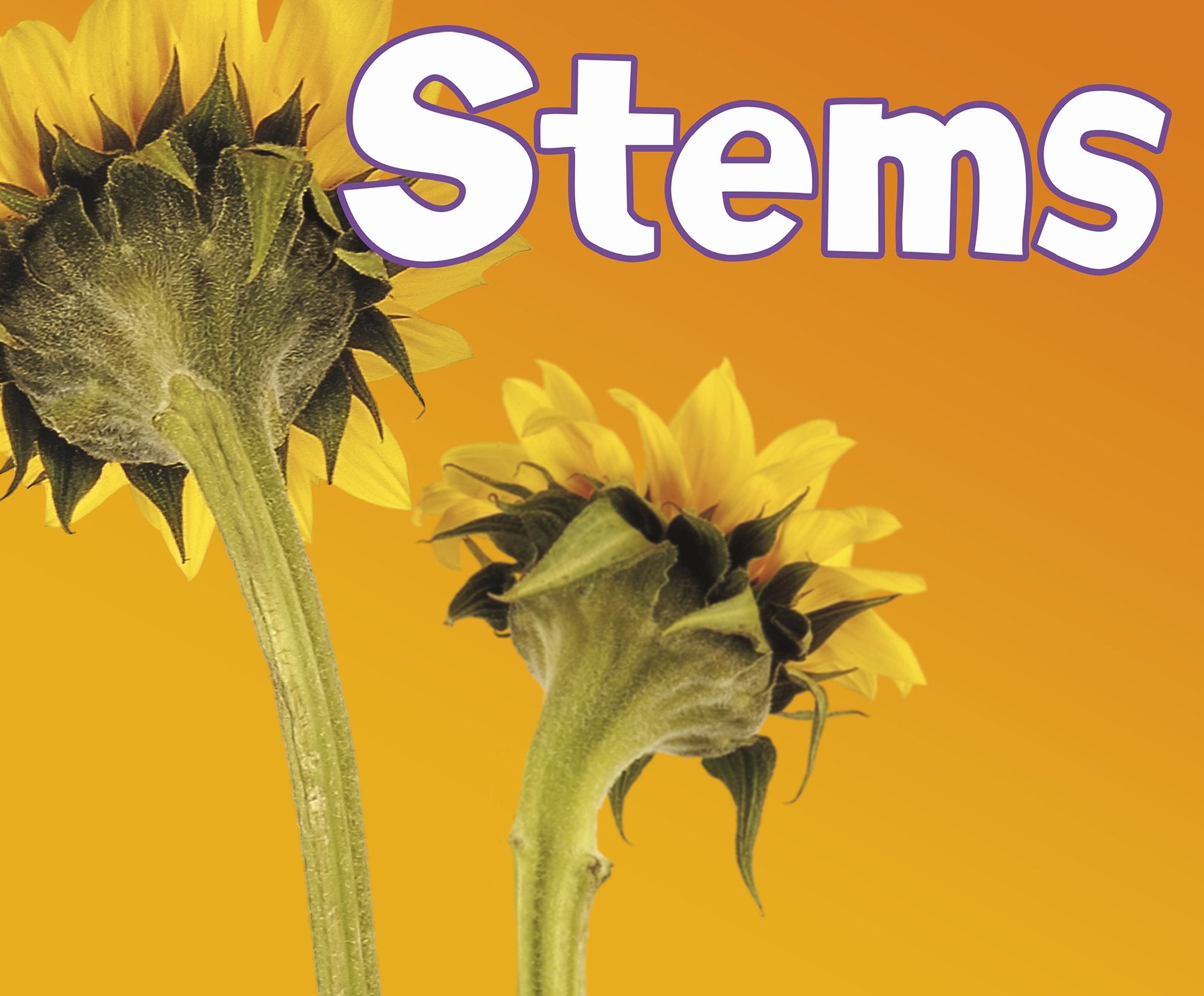 Stems (Parts of Plants) Non-fiction
