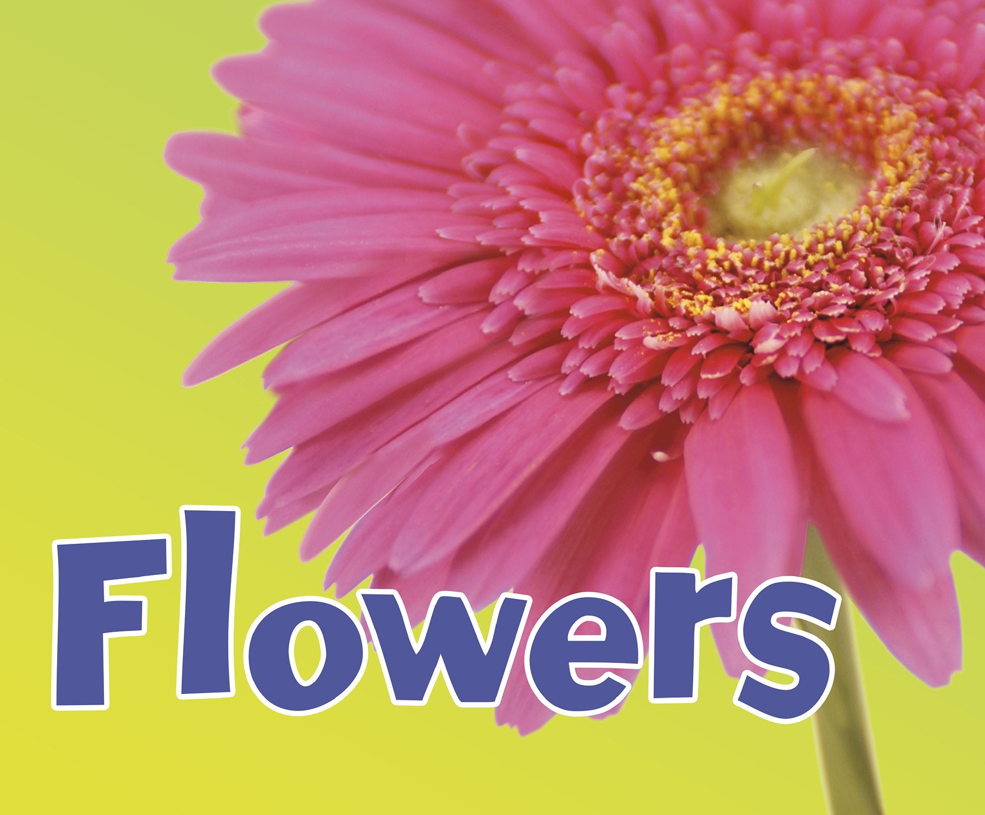 Parts of Plants Pack A of 5 Study Guides