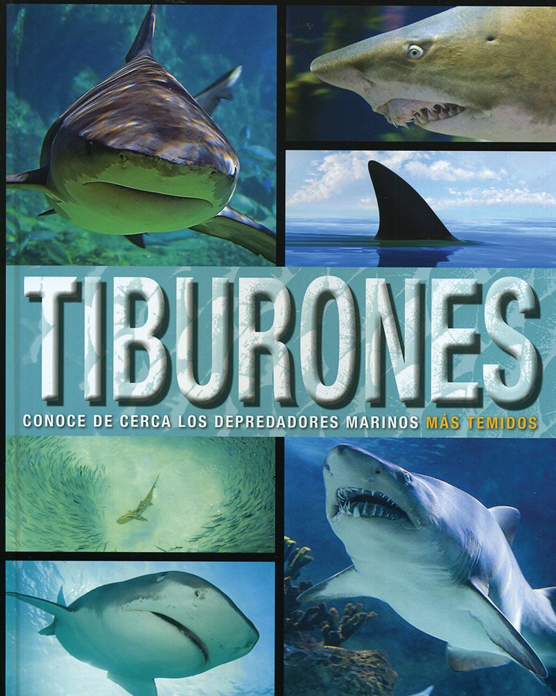 Sol 90 - Tiburones Conoce De Cerca Los Depredadores Marinos Mas Temidos Books