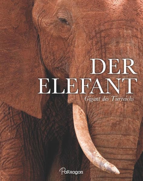 Der Elefant Social Sciences