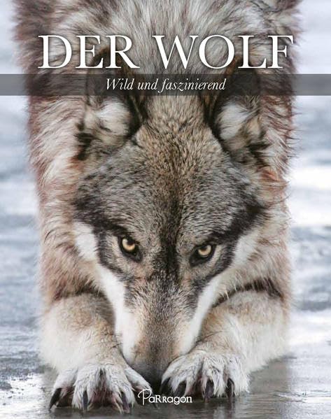 Der Wolf - Wild und faszinierend Leisure, Home & Garden