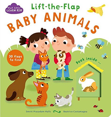 Lift-the-Flap Baby Animals (Start Little Learn Big) Non-fiction