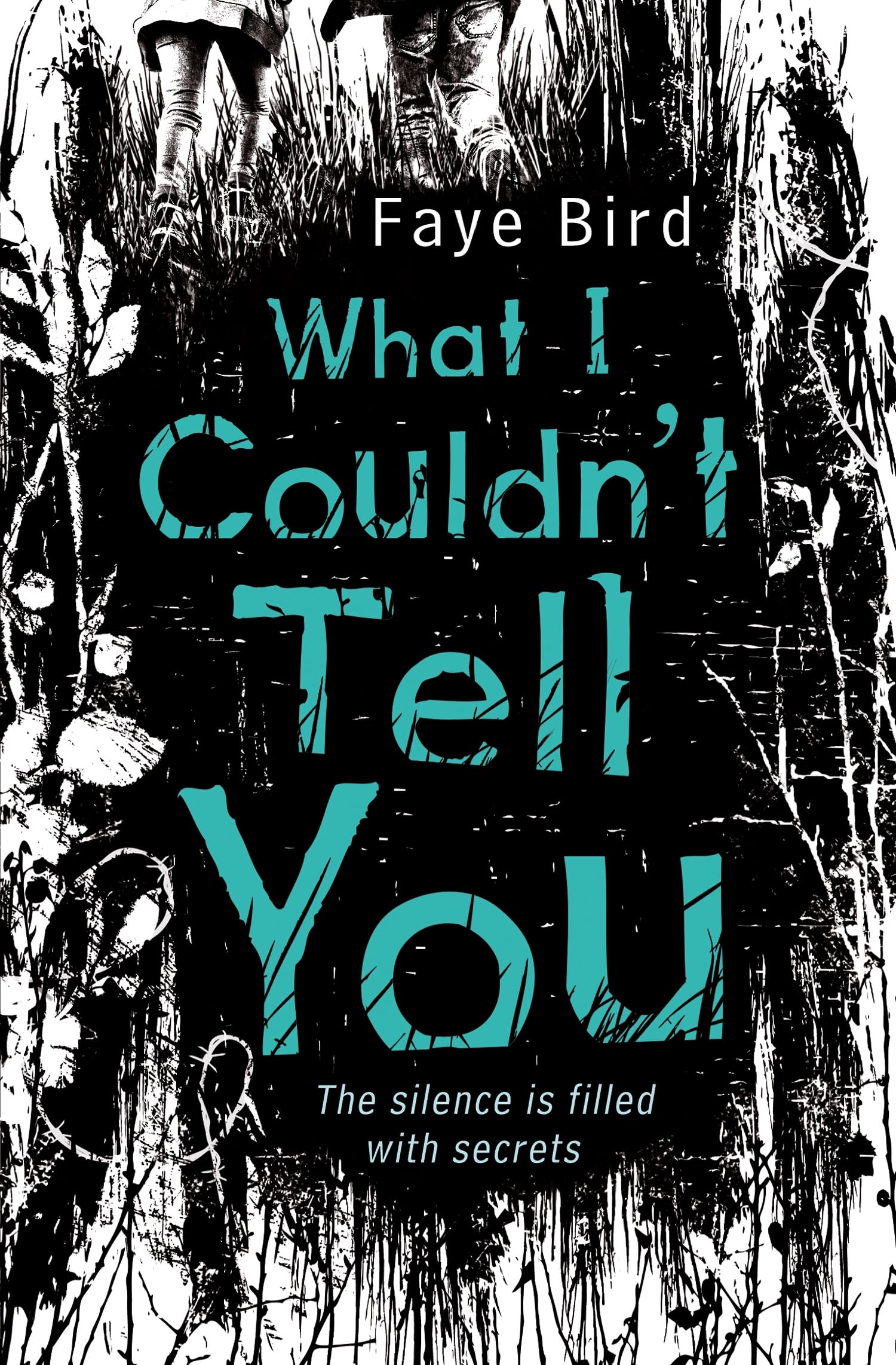 What I Couldn't Tell You Fiction