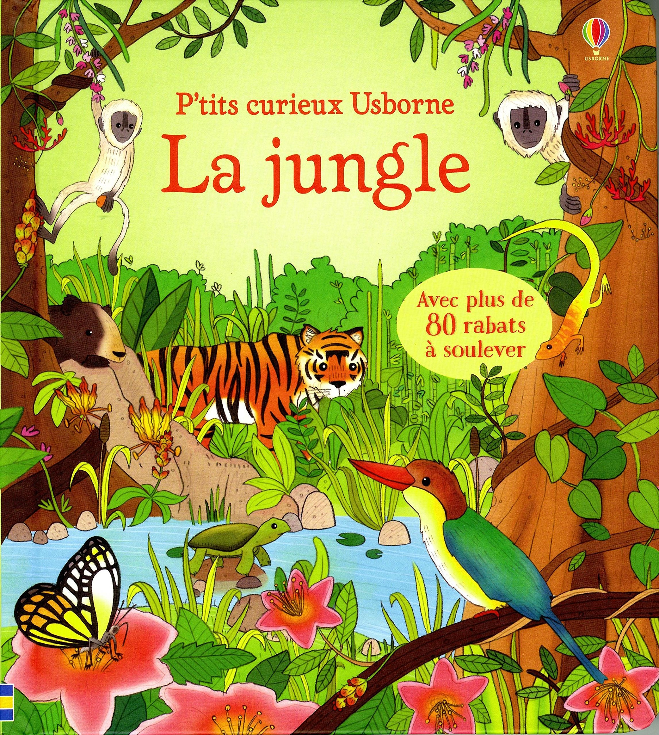 Jungle - P'tits curieux Usborne Non-fiction