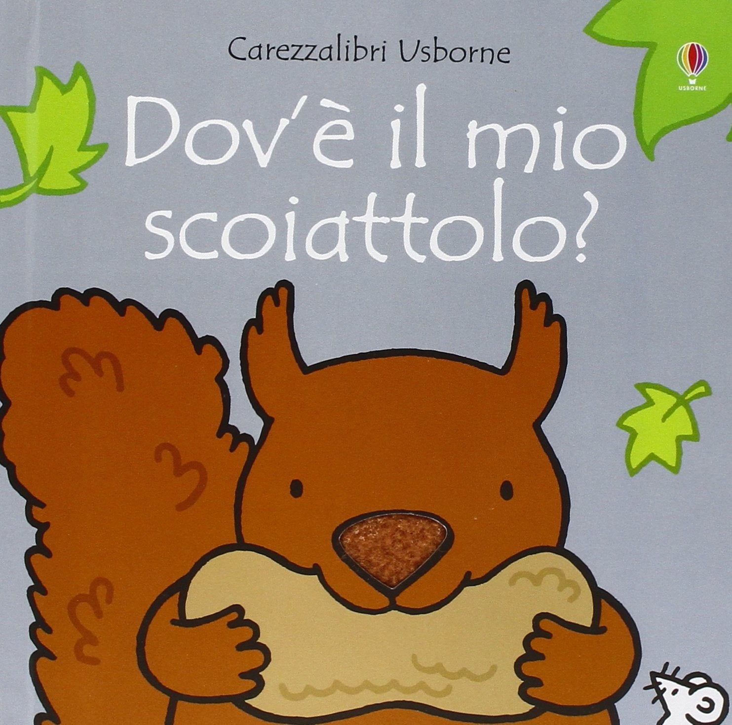 Dove'è il mio scoiattolo? Ediz. illustrata book