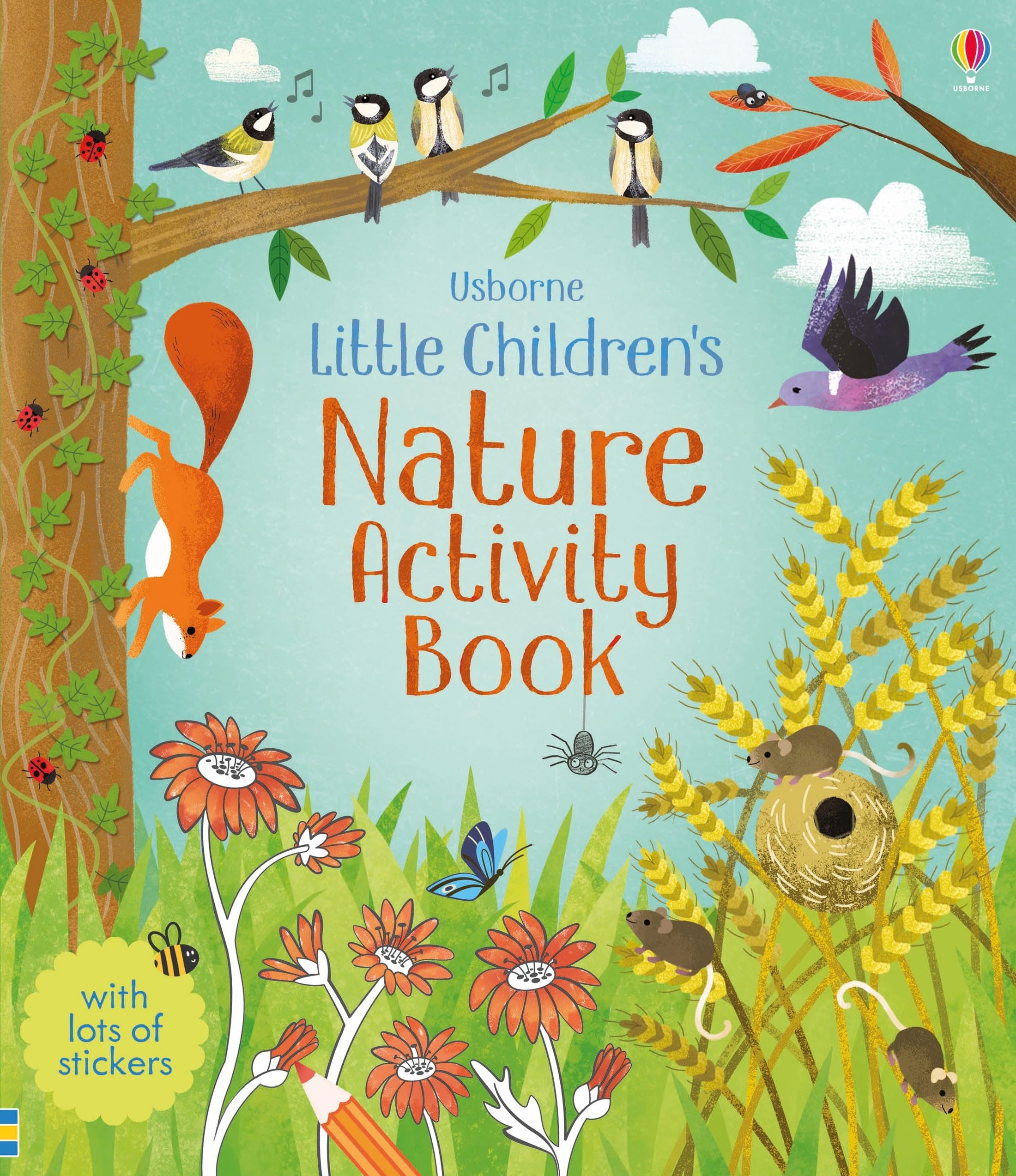 Little Children's Nature Activity Book Non-fiction